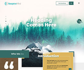 custom-website-design-5